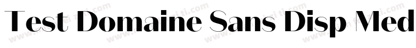 Test Domaine Sans Disp Med字体转换